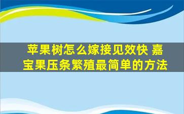 苹果树怎么嫁接见效快 嘉宝果压条繁殖最简单的方法